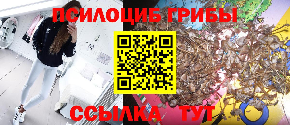Апатиты  хочу   Вход с VPN  Галлюциногенные грибы мухоморы 